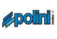Polini